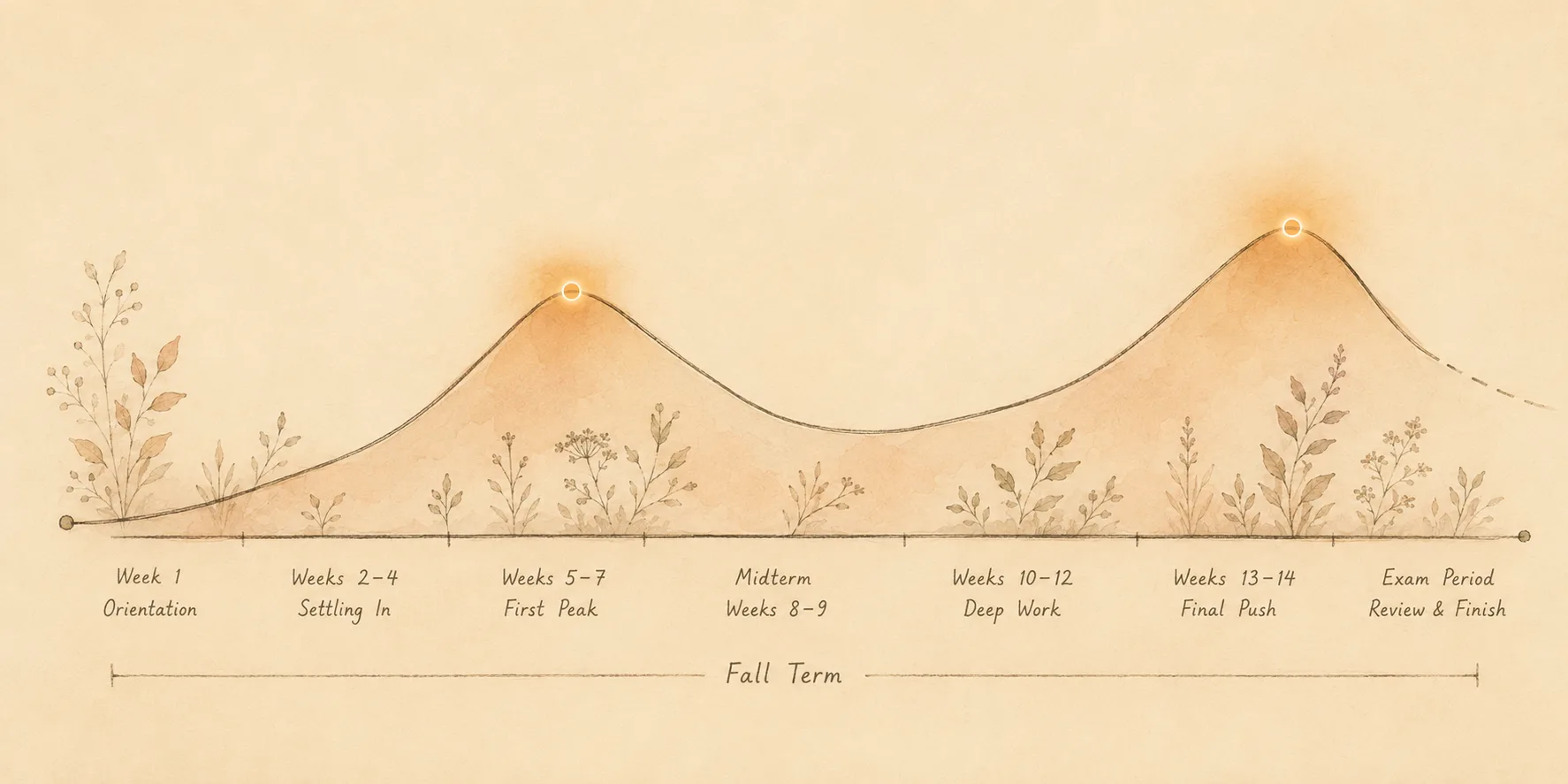 A gentle line curve across one academic term with soft glowing peaks at the midterm and finals weeks, showing how picking follows the academic calendar.